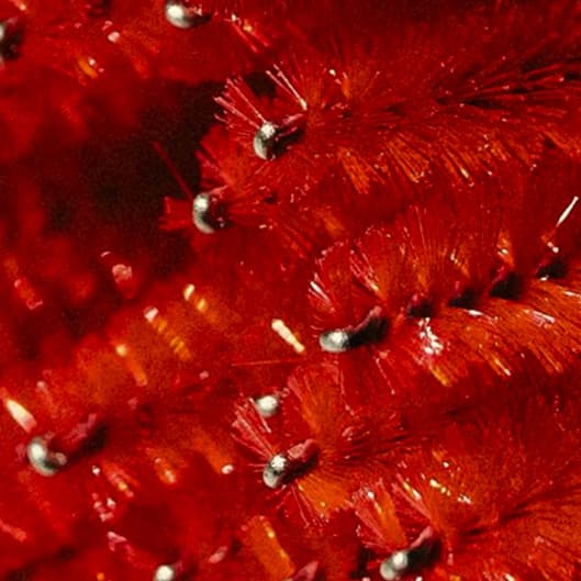 Black Friday Volume Fill Bundle at Skin Remedy in Dartmouth, MA